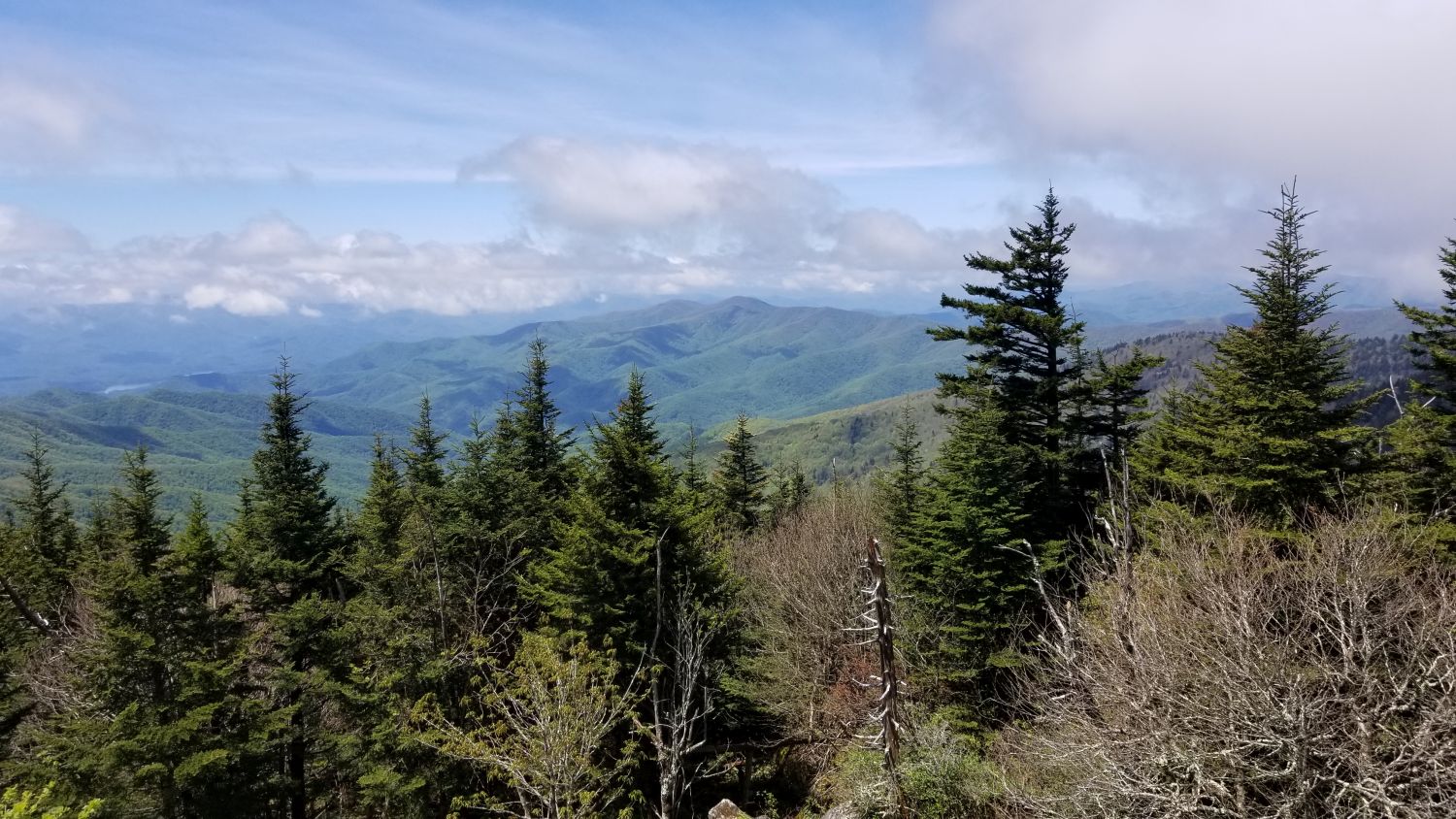 Clingmans's Dome Parking Lot 